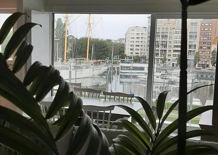 דירה Driemaster *