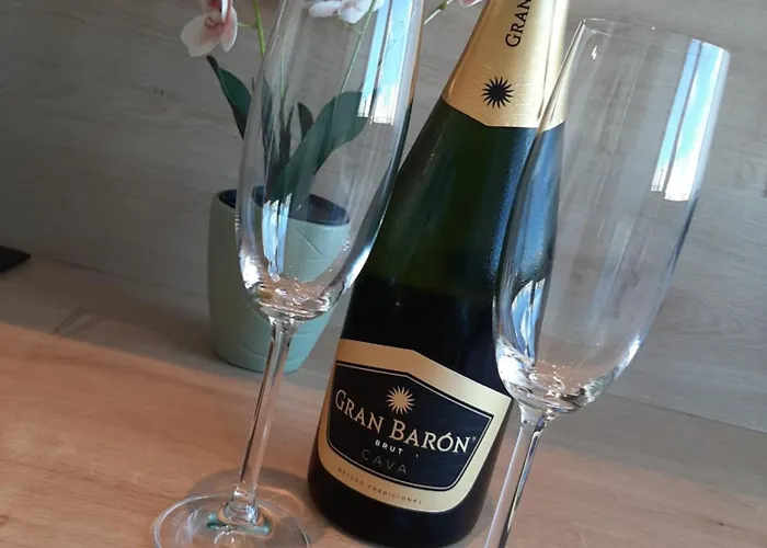 דירה Driemaster *